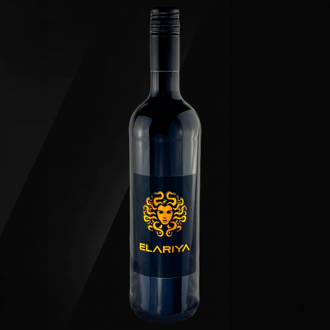 Falkenberg Alegrillo Negro-2